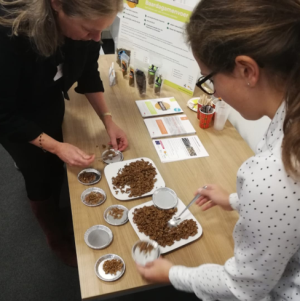 Geslaagde workshop rond insecten in food en feed