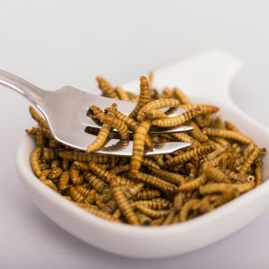 Meelwormen toegelaten voor menselijke consumptie in EU